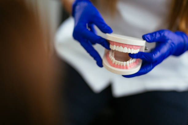 Best General Dentistry  in Duncannon, PA